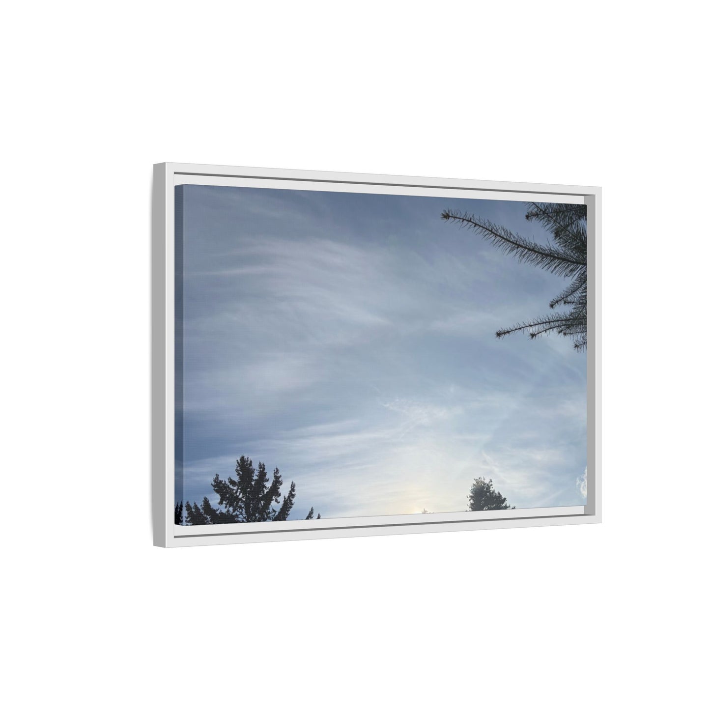 Framed Matte Canvas Wall Art — Winter Sky Tree Photograph