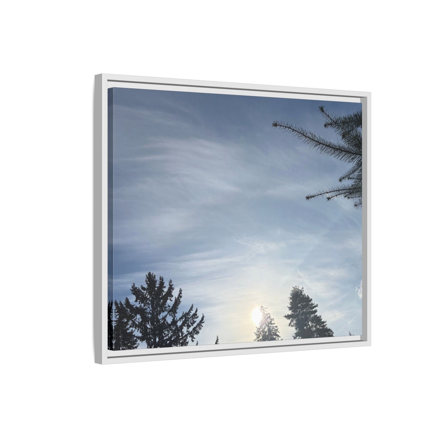Framed Matte Canvas Wall Art — Winter Sky Tree Photograph