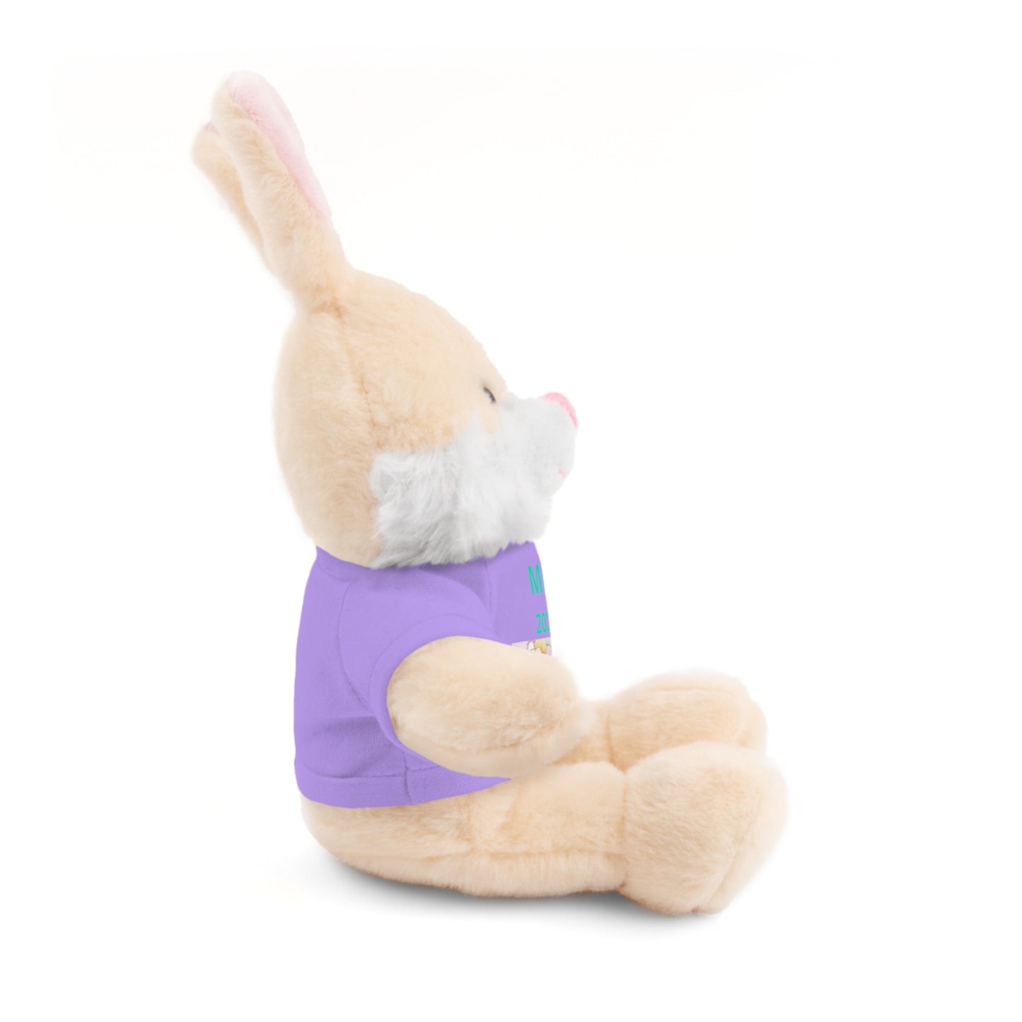 Personalized Plush Bear with Custom Tee — Cute Candy Print & Name